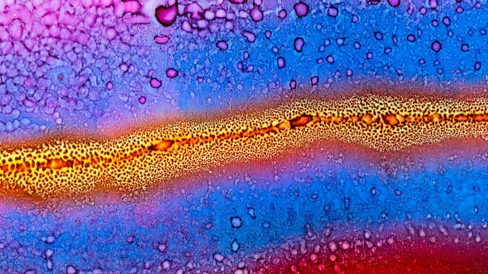абстракция микробы градиент