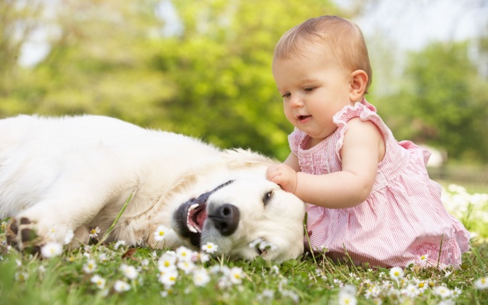 маленькая девочка с собакой