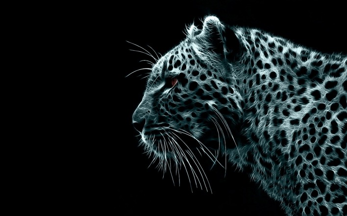 черный фон животное леопард