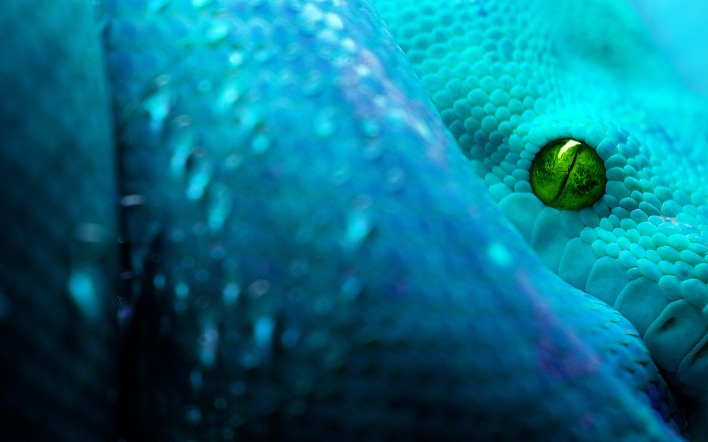 змея ультрафиолет