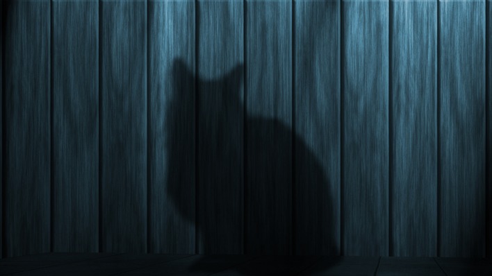 кот тень доски