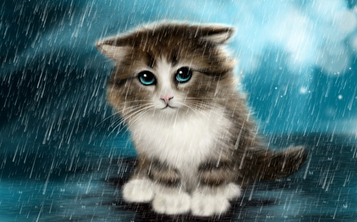 грустный кот дождь анимация