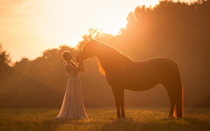 девушка лошадь солнце лучи