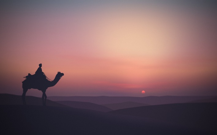 верблюд закат пустыня дюны силуэт