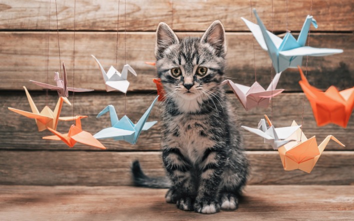 котенок журавлики оригами