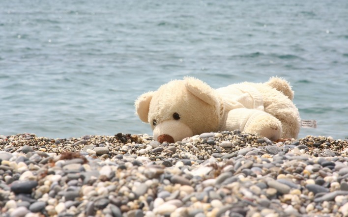 плюшевый медвежонок игрушка галька берег