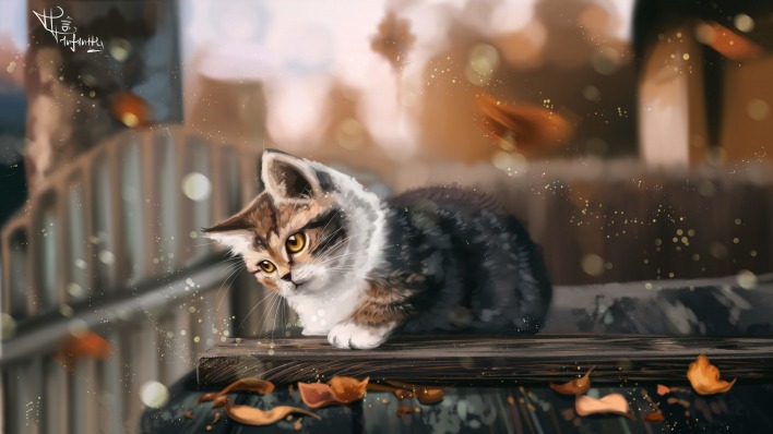 кошка блики забор осень