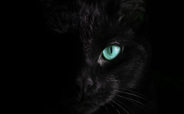 кот черный глаз