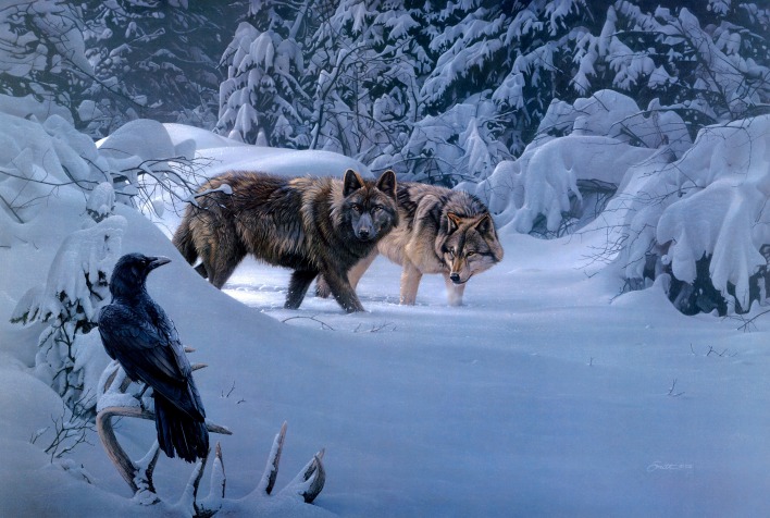 волки зима снег лес ворон