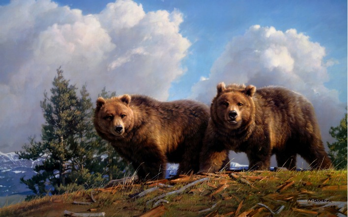 медведи гризли небо