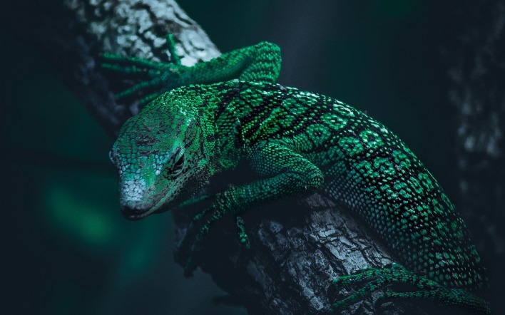 ящерица рептилия ветка зеленая