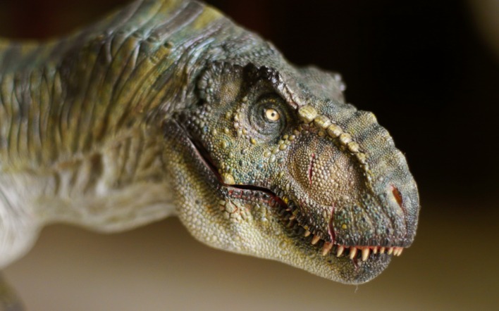 рептилия динозавр морда