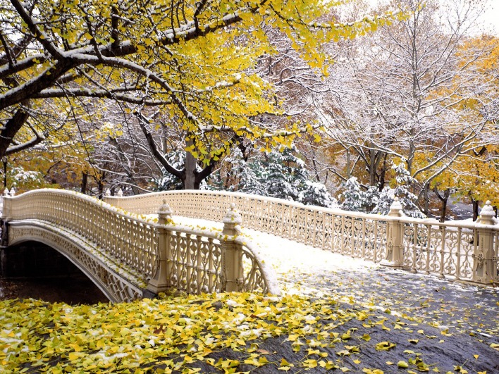 Early Snowfall, Central Park, New York