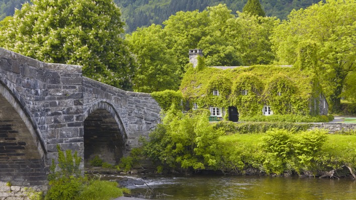 природа Уэльс мост деревья трава