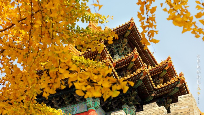 дворец китай архитектура ветви