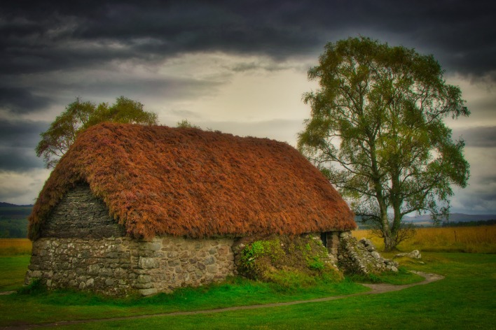 дом хутор старый дерево трава соломенная крыша