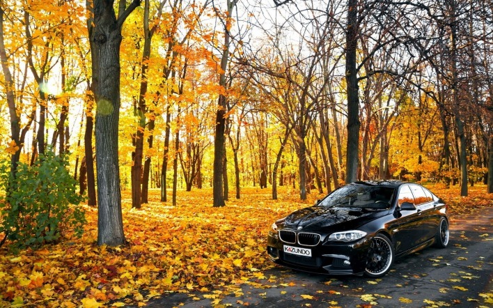 черный автомобиль осень природа BMW