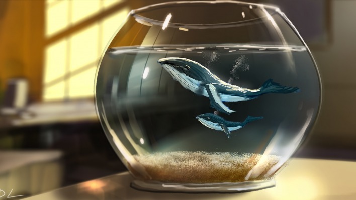аквариум рисунок кит