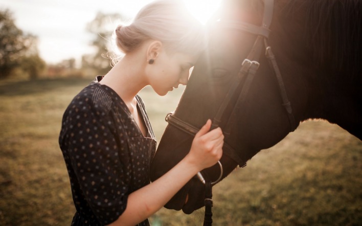 девушка лошадь солнце