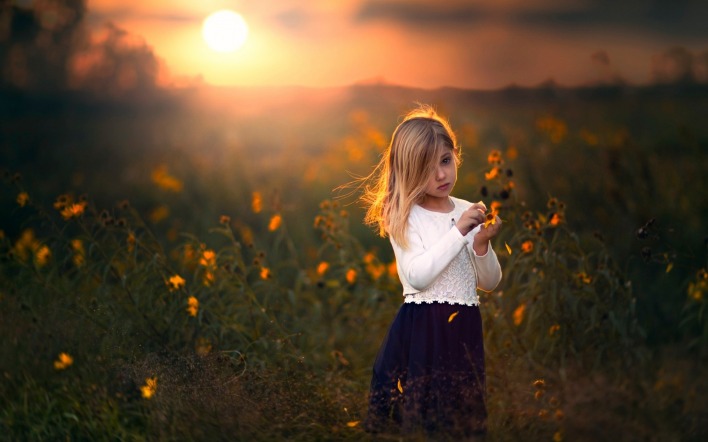 девочка поле на закате полевые цветы