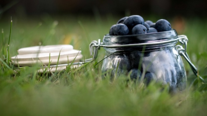 еда черника ягоды food blueberries berries