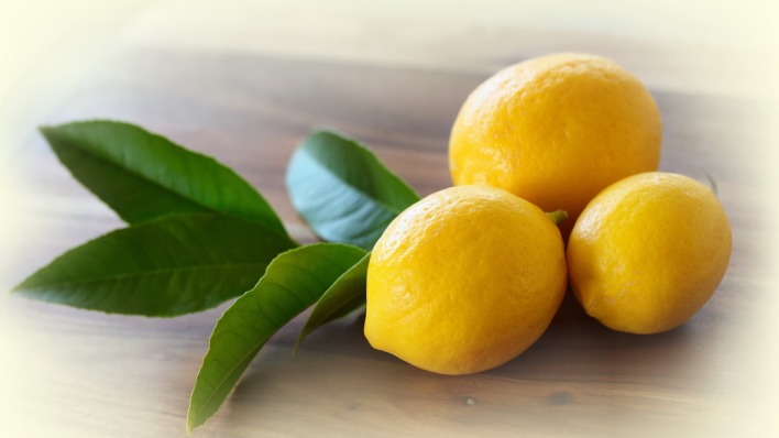 лимон листья цитрус