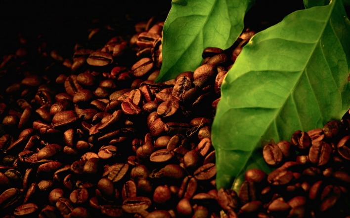 кофе зерна листья