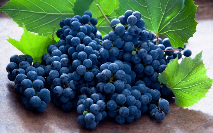виноград гроздь синий черный виноград