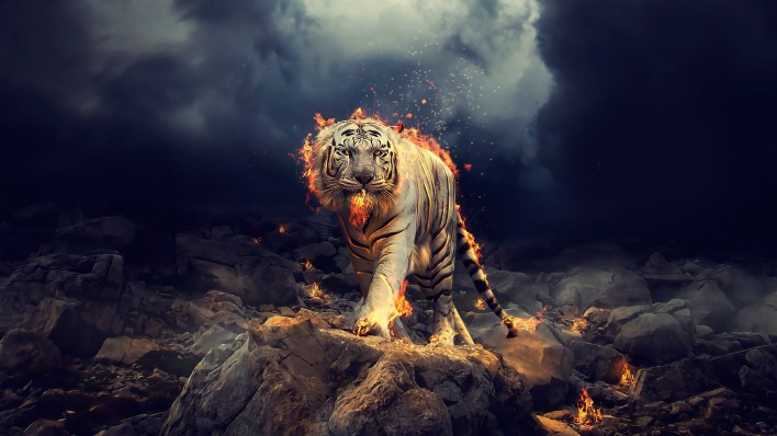 тигр огненный огонь камни мрак