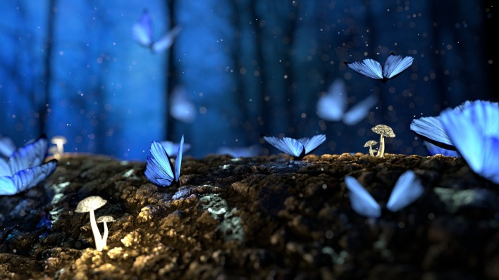 бабочки синие мотыльки грибы фантастика