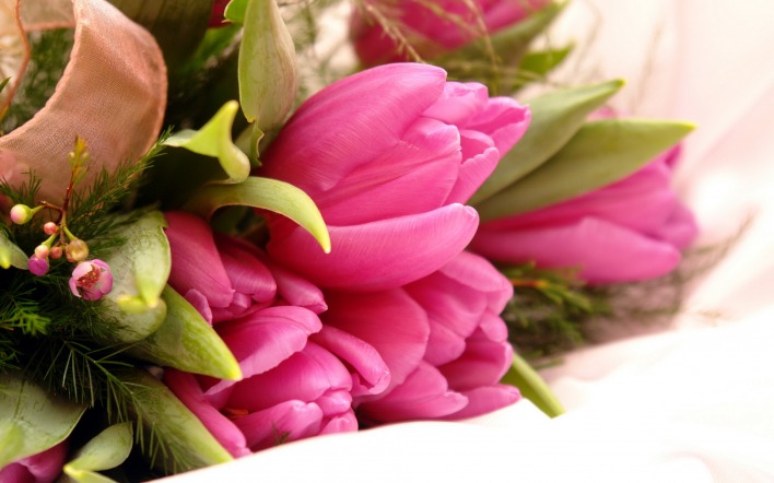 цветы природа тюльпаны букет