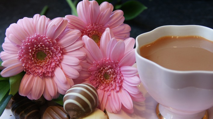 природа цветы чай еда сладости и конфеты