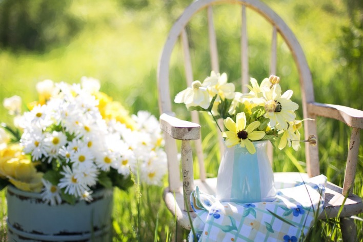 цветы,ромашки,стул,ваза