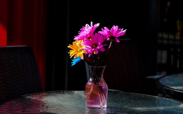 цветы ромашки ваза стол