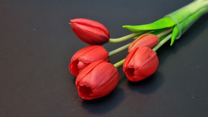 тюльпаны красные поверхность