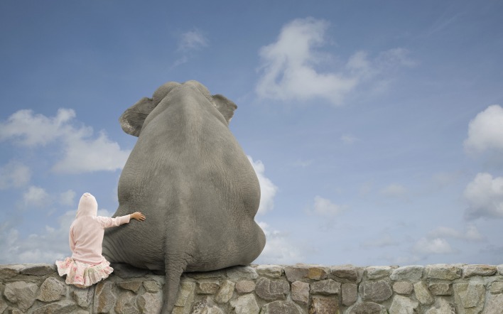 Девочка обнявшись со слоном
