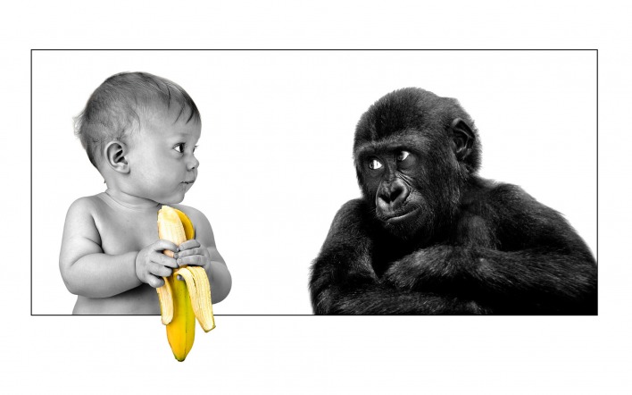 Шимпанзе с ребенком