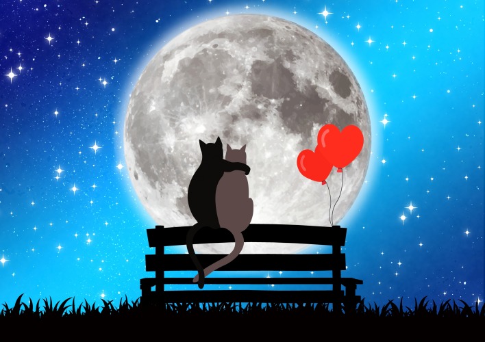 кошки любовь скамейка сердечки луна