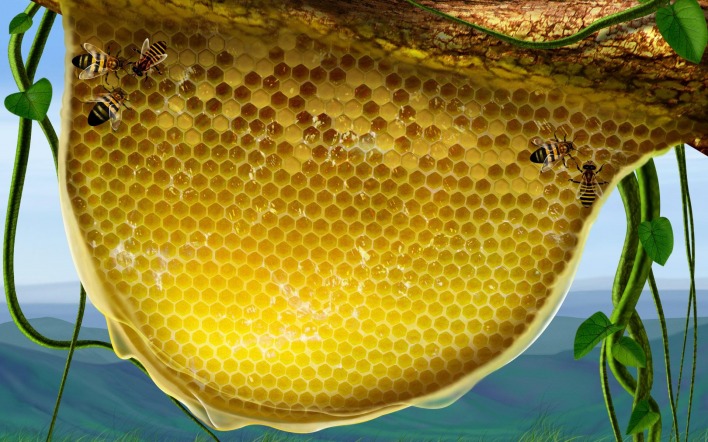 Мед пчелы соты трава