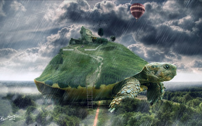 Черепаха, дом, шар, дождь, лес, туман