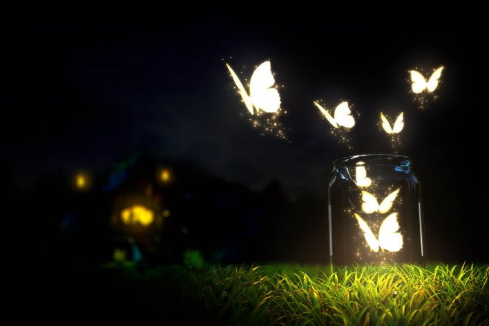 Бабочки, банка, светящиеся
