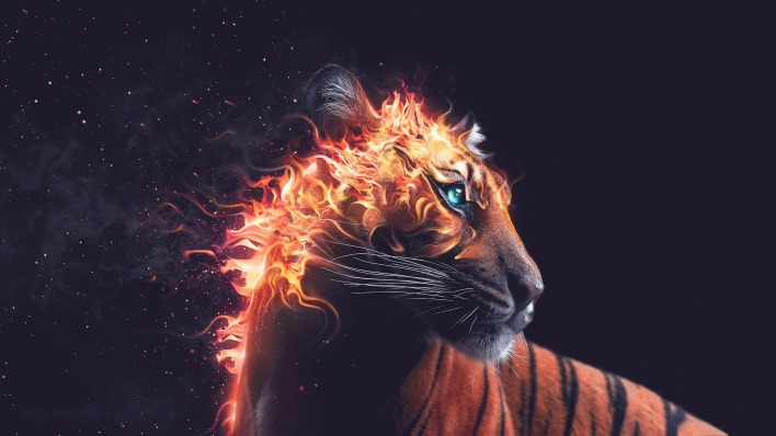 тигр огонь графика