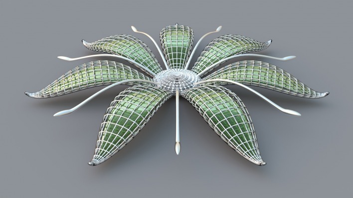 графика цветы 3D