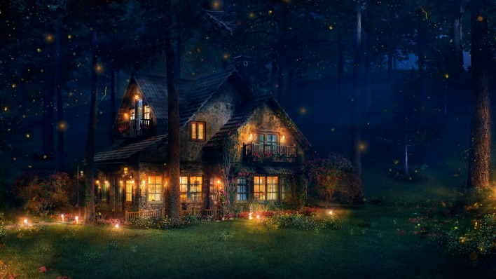 дом лес огни ночь