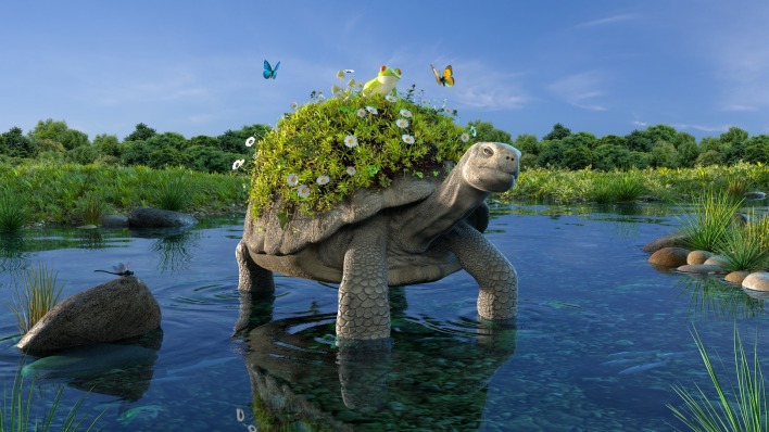 черепаха фентази водоем островок