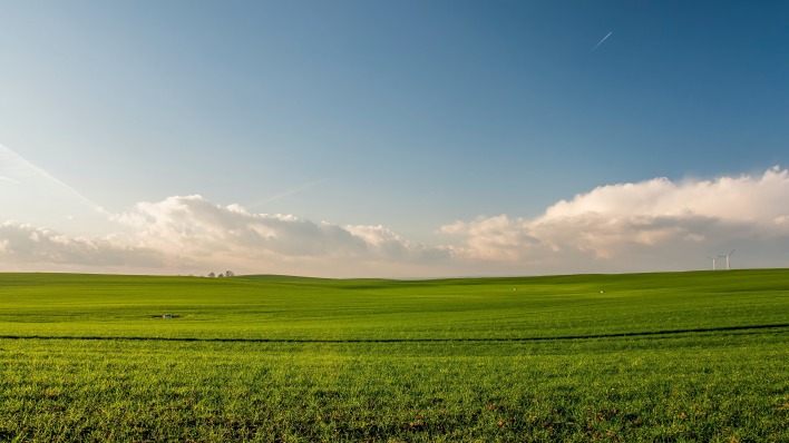 поле трава горизонт облака