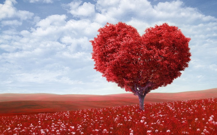 Сердце дерево поле красное