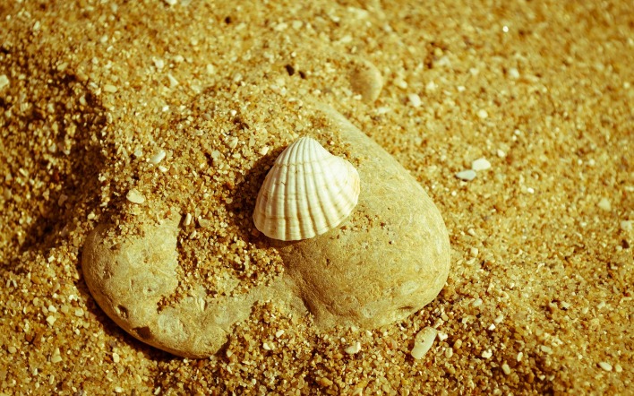Камень сердце ракушка песок