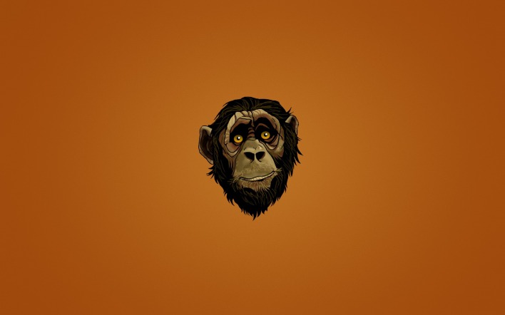 морда обезьяна минимализм muzzle monkey minimalism