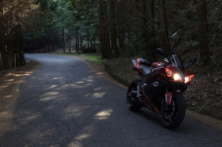 мотоцикл дорога лес